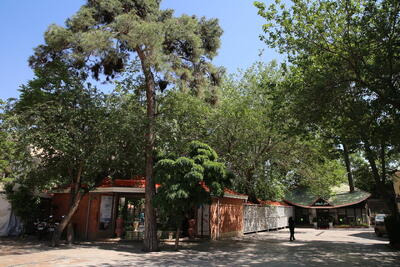 تماشای هنرنمایی خلیل عقاب در سه‌راه سلسبیل