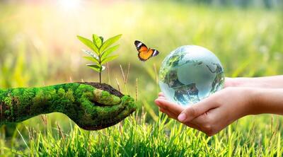 سیزده بدر را برای آشتی با طبیعت بخواهیم، نه تخریب آن