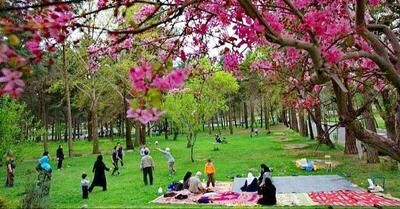 آداب و رسوم نوروزی کردستان در سیزده بدر/ جشن طبیعت و بدرقه‌ نحسی‌ها از زندگی