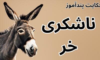 حکایت ناشکری خر از مثنوی معنوی مولانا/ حکایت ناشکری خری که خود را با اسب ها مقایسه می کرد