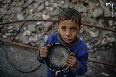 تحولات روز پانزدهم نقض آتش بس در غزه/ دیگر هیچ آردی برای پختن نان در نوار غزه وجود ندارد/ هشدار مقام امنیتی صهیونیست در رابطه با افزایش حملات از سوی یمن/ رایزنی‌ رژیم صهیونیستی با چند کشور برای کوچ اجباری فلسطینیان