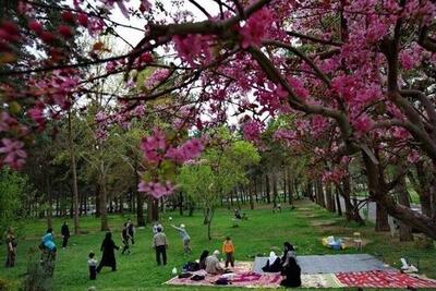 سیزده بدر فرصت هم نفسی با طبیعت؛در حفظ سرمایه های طبیعی کوشا باشیم