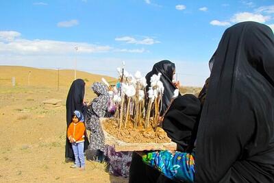 بی بی گردی آئینی کهن با نقش زنان برای رونق گردشگری