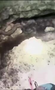 فیلم وحشتناک ورود به غاری با هزاران عنکبوت غول‌پیکر