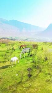 زیبایی های دشت سوسن و روستای مهرنان در ایذه
