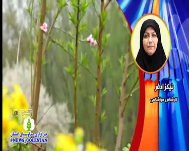 پیش بینی هواشناسی گلستان ۲۴ ساعت آینده | وضعیت آب و هوا گلستان فردا پنجشنبه ۱۴ فروردین ماه ۱۴۰۴ | آب و هوای گرگان + هواشناسی گرگان