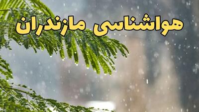 پیش بینی هواشناسی ساری ۲۴ ساعت آینده | وضعیت آب و هوا مازندران فردا پنجشنبه ۱۴ فروردین ماه ۱۴۰۴ | آب و هوای مازندران در روز چهارده بدر + هواشناسی مازندران