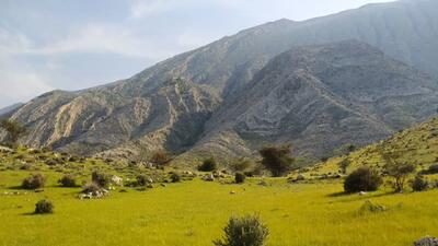 حال و هوای بهاریِ طبیعت روستای گلستان در کازرون + فیلم و تصاویر