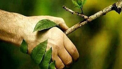 توصیه هایی زیست محیطی برای روز طبیعت