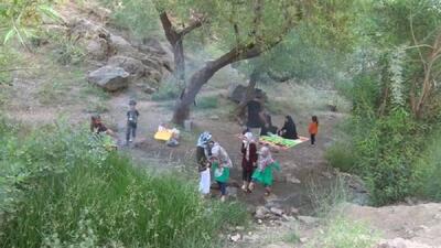 حضور گسترده مردم ساوجبلاغ در روز طبیعت؛ ترافیک سنگین در جاده‌های کوهستانی
