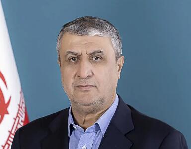 رئیس سازمان انرژی اتمی: دشمن هدف‌گذاری کرده که ارزش پول ملی ما را تحت تاثیر قرار دهد