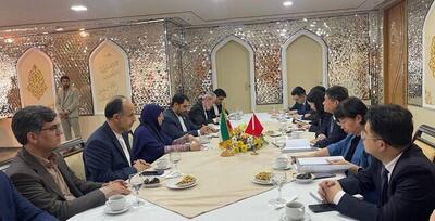 تاکید ایران و چین بر هم‌افزایی برای حفاظت از محیط زیست و گسترش انرژی‌های تجدیدپذیر