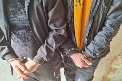 کشف ۱۵ فقره سرقت با دستگیری سارقان در شهریار