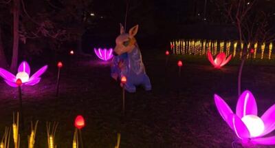 اجرای پارک نوری در بوستان نیاوران؛ جاذبه‌ای جدید برای گردشگران نوروزی