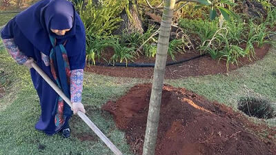 رییس سازمان محیط زیست در برزیل درخت کاشت
