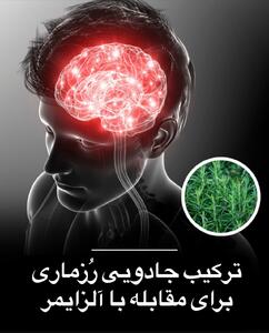 ترکیب جادویی رزماری برای مقابله با آلزایمر - سبک ایده آل