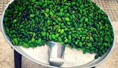 خطر مسمومیت با نوبرانه‌ بهار؛ مراقب مصرف این نوع چغاله‌ها باشید