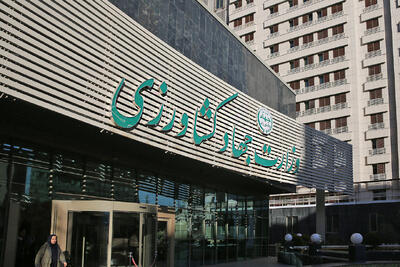 رکوردشکنی صادرات کشاورزی ایران؛ اجرای طرح جدید برای همکاری با کشاورزان