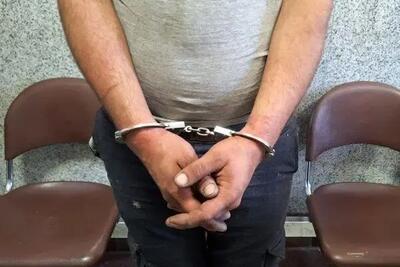 درگیری خونین در روز طبیعت در تهران/ضارب دستگیر شد