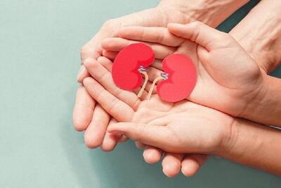 اهدای عضو گردشگر جوان در کیش