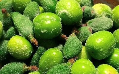 خطر مسمومیت شدید با مصرف این نوع چغاله‌