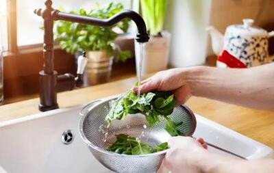 چگونه میتوانیم سبزی خوردن را یک هفته تازه نگه داریم؟