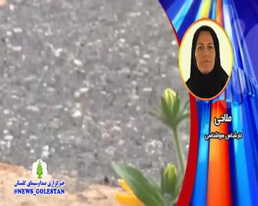هواشناسی گلستان طی ۲۴ ساعت آینده | پیش بینی وضعیت آب و هوا گلستان فردا شنبه ۱۶ فروردین ماه ۱۴۰۴ | آب و هوای گلستان + هواشناسی گرگان