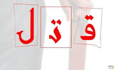 جزییات تازه از قتل برادر بخاطر اختلاف میلیاردی بر سر یک ملک