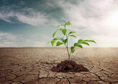 مدیریت بحران آب در کشاورزی نیازمند راهکارهای کلان و مشارکت همگانی است