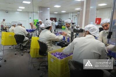 فروش «کیمیاتک» بررسی شد