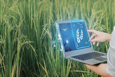 ارتباط کشاورزی دیجیتال با امنیت غذایی جامعه - اکونیوز