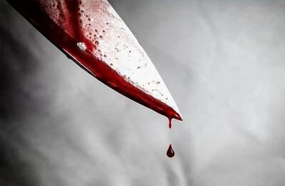 قتل با چاقو در مرغداری؛ دستگیری قاتل پیش از فرار از استان