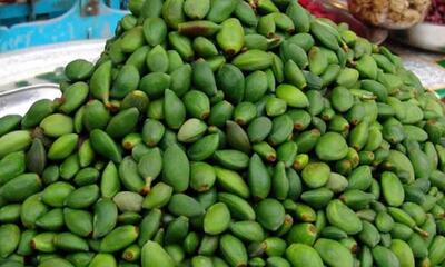 خطر مسمومیت با نوبرانه‌ بهار؛ مراقب مصرف این نوع چغاله‌ها باشید