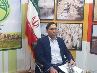 ۶۲۶ پرونده تخلفات صنفی کشاورزی در ایلام به تعزیرات حکومتی ارجاع شد