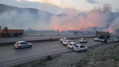آتش‌سوزی باغ نخیلات و نیزارها در ورودی شهرستان حاجی‌آباد ساعاتی قبل