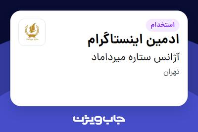 استخدام ادمین اینستاگرام در آژانس ستاره میرداماد
