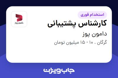 استخدام کارشناس پشتیبانی در دامون پوز