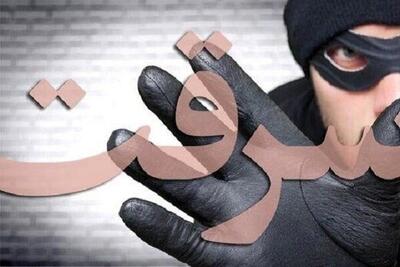 انواع سرقت در اصفهان ۱۸ درصد کاهش یافت
