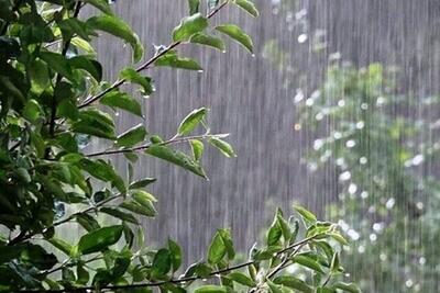 بارش باران و جاری شدن آب در مناطق مختلف روستایی استان مرکزی