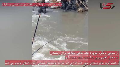 افزایش خطرناک و مصنوعی ماهی سفید در دریای خزر /۳۵ درصد صیدها در دریای کاسپین غیرقانونی است/ رشوه گیری های سیاه! + فیلم
