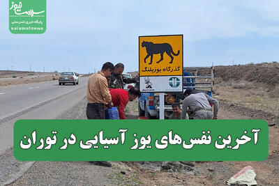 آخرین نفس‌های یوز آسیایی در توران
