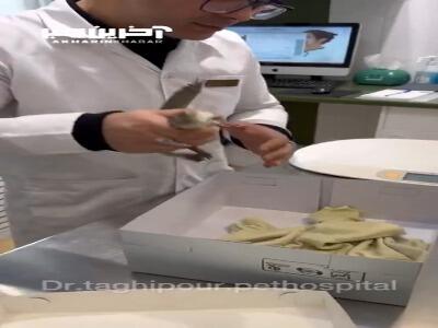 کروکودیل؛ حیوان خانگی عجیب!