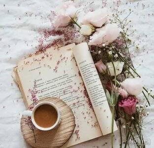 داستانک/قدرت اصلاح