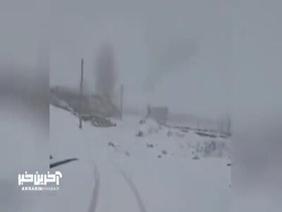 بازگشت زمستان در بهار