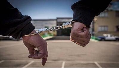 عاملان چاقوکشی در روستای چشمه کبود ایلام دستگیر شدند