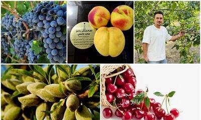 فرصتی بی نظیر؛ خرید نهال های پربار با۵۰٪ تخفیف از پالیز نهال