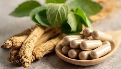 «علف جاودانگی»؛ گیاهی ناشناخته‌ سودمندتر از چای سبز