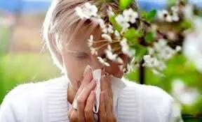 از همین حالا برای مقابله با آلرژی بهاری اقدام کنید