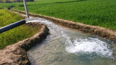 ارزیابی خسارت قطعی برق به بخش کشاورزی خراسان رضوی