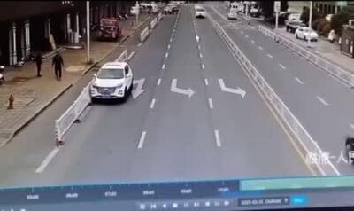 ببینید | رانندگی سگ ولگرد